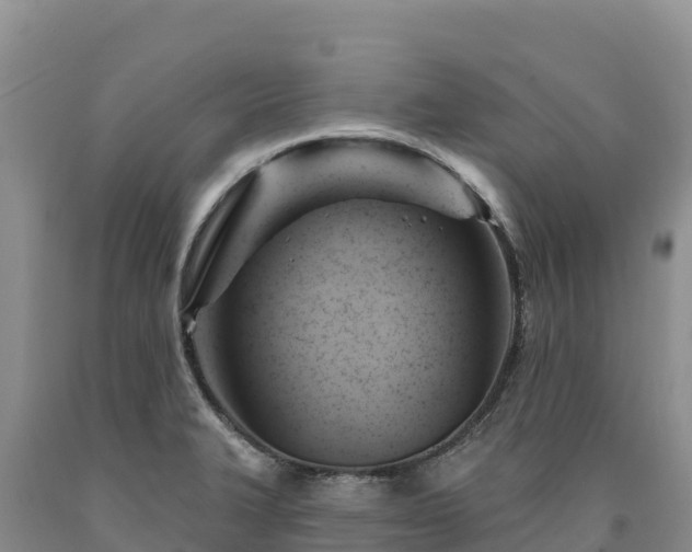X0000090631327200707241143