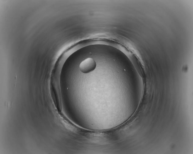 X0000090631328200707241143