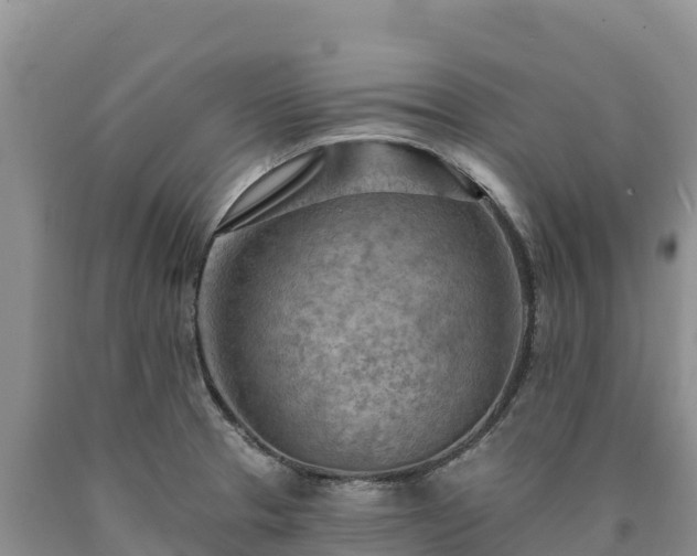 X0000090631329200707241143