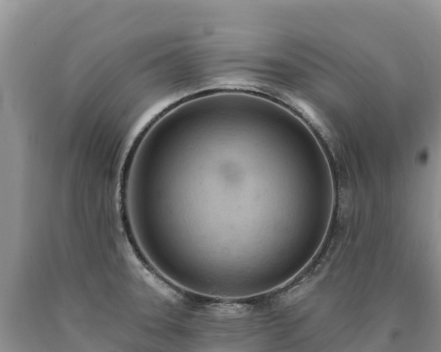 X0000090631331200707241143