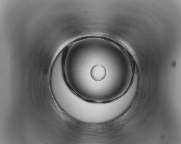 X0000090631332200707241143