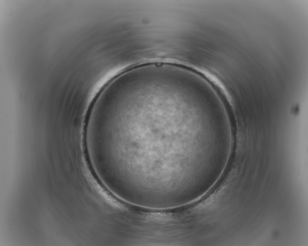 X0000090631333200707241143