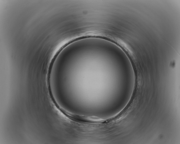 X0000090631334200707241143