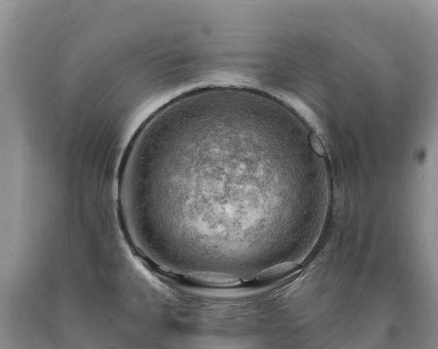 X0000090631335200707241143