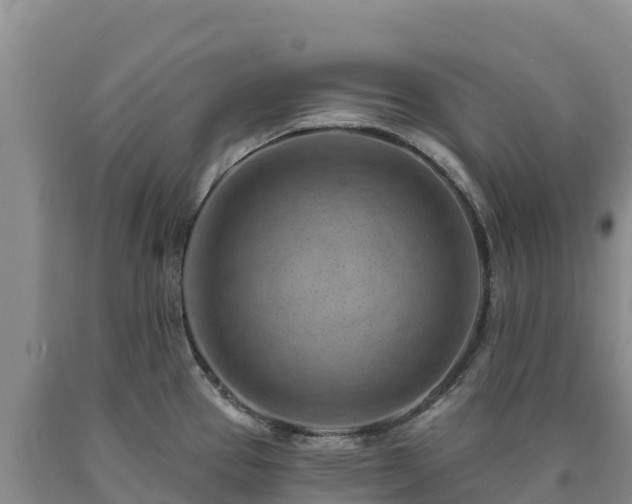 X0000090631337200707241143