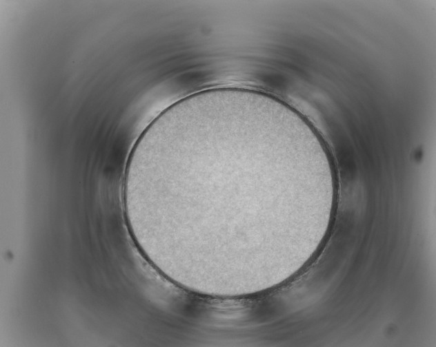 X0000090631338200707241143
