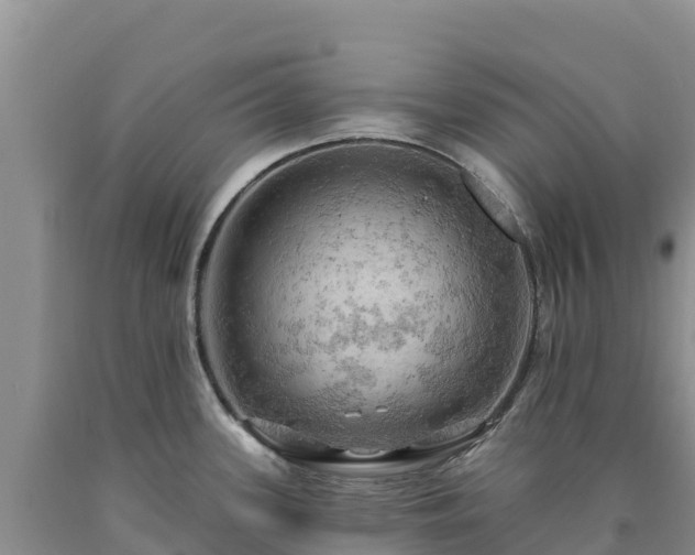 X0000090631339200707241143