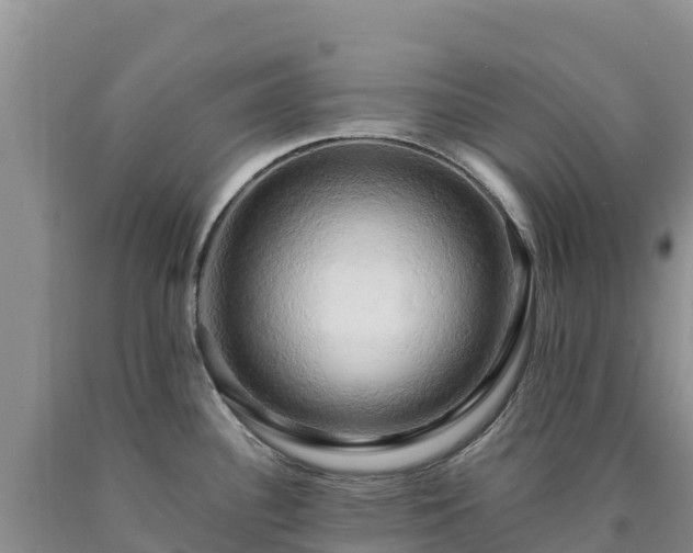 X0000090631340200707241143