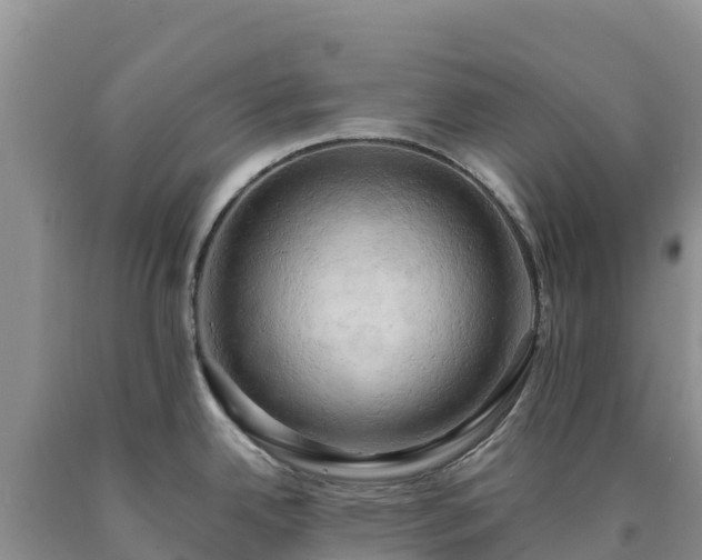 X0000090631342200707241143