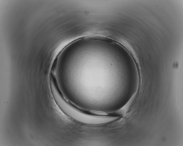 X0000090631344200707241143