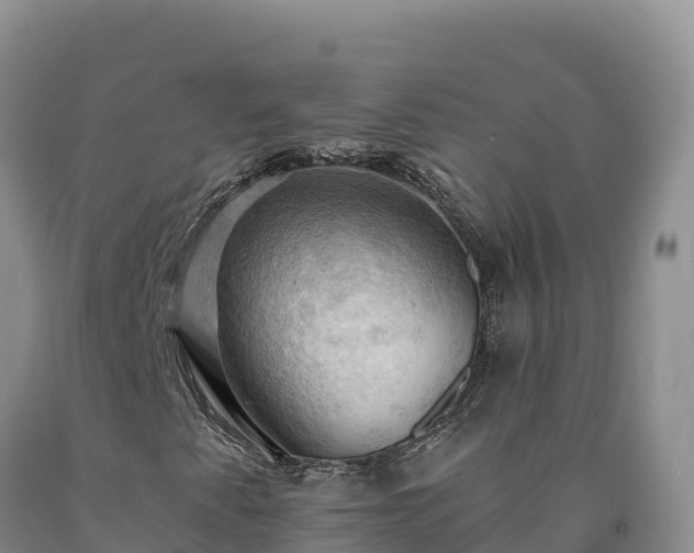 X0000090631345200707241143