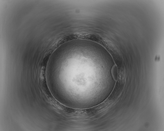 X0000090631346200707241143