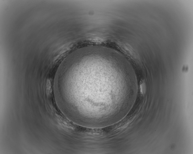 X0000090631347200707241143