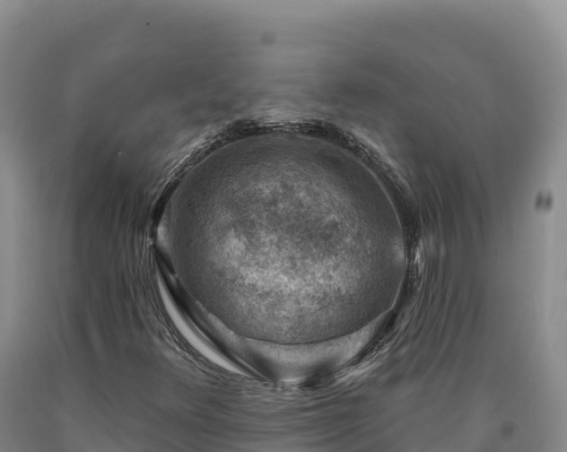 X0000090631348200707241143