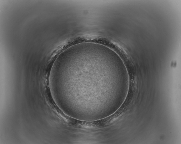 X0000090631349200707241143