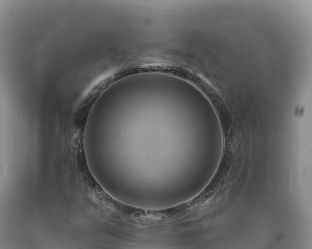 X0000090631351200707241143