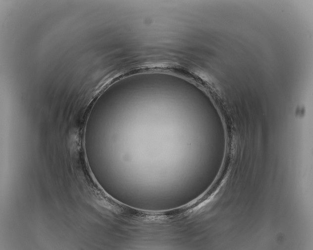 X0000090631353200707241143