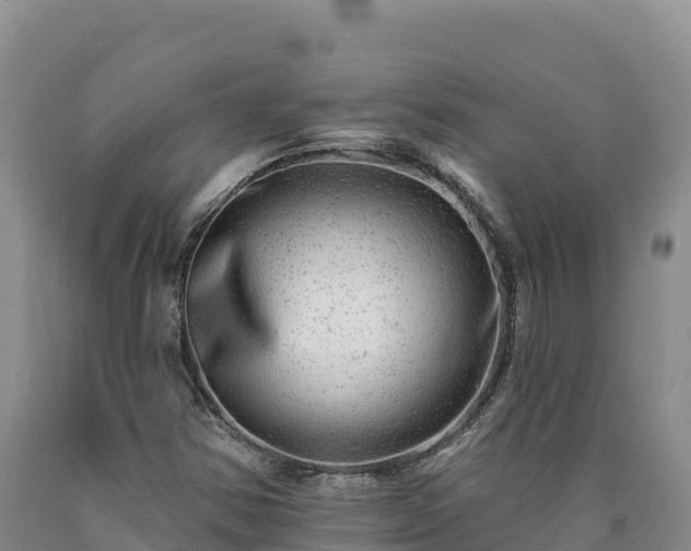 X0000090631354200707241143