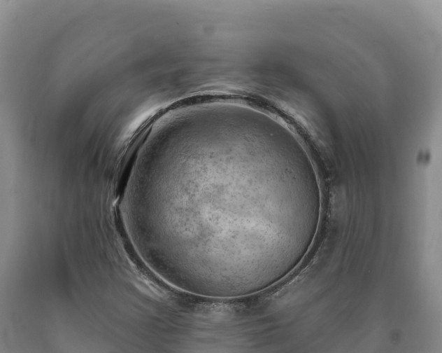 X0000090631355200707241143