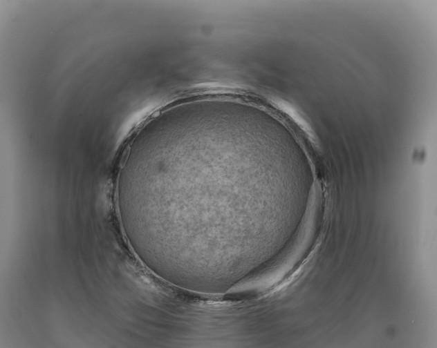 X0000090631357200707241142