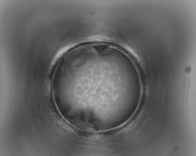 X0000090631358200707241142