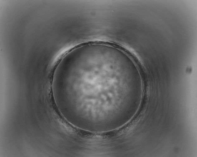 X0000090631359200707241142
