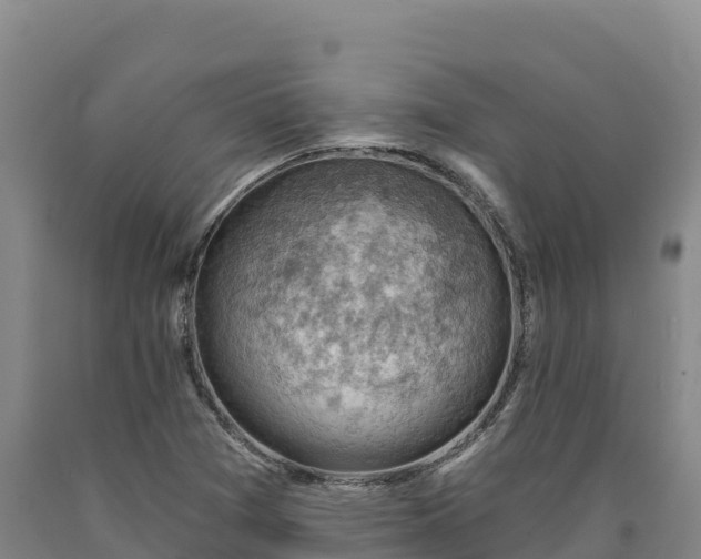 X0000090631361200707241142