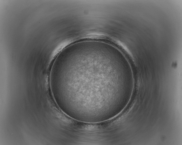 X0000090631362200707241142