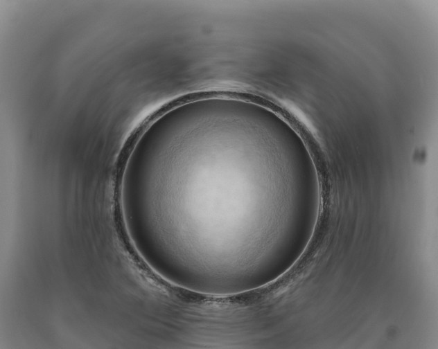X0000090631364200707241142