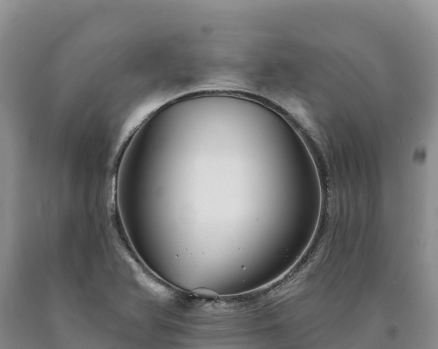 X0000090631366200707241142