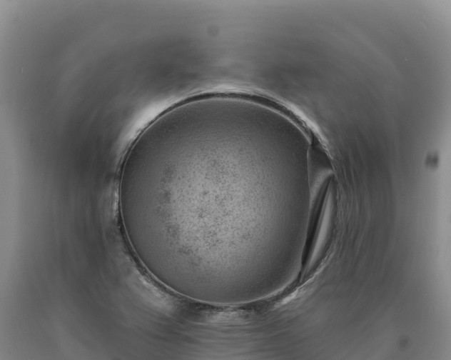 X0000090631367200707241142