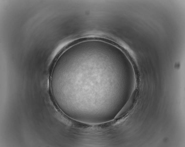 X0000090631368200707241142