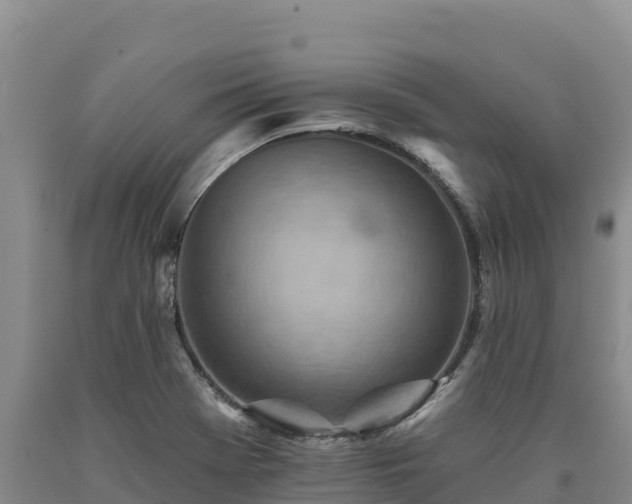 X0000090631369200707241142