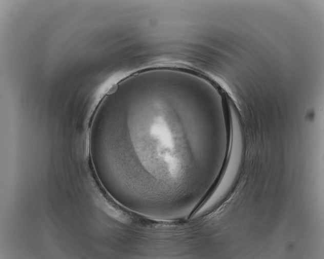 X0000090631371200707241142