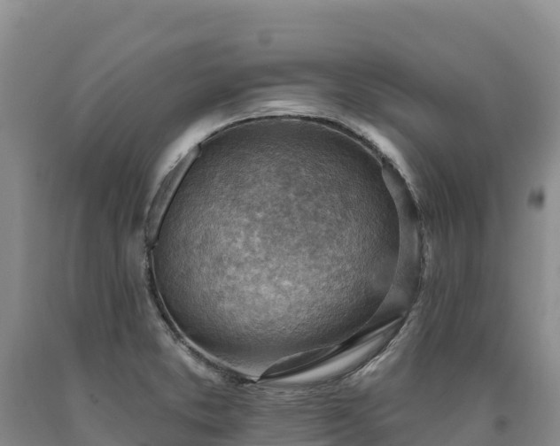 X0000090631373200707241142