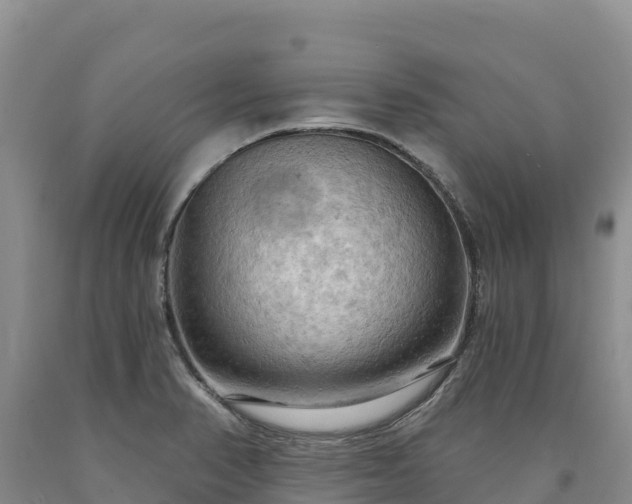 X0000090631374200707241142