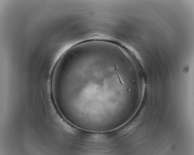 X0000090631375200707241142