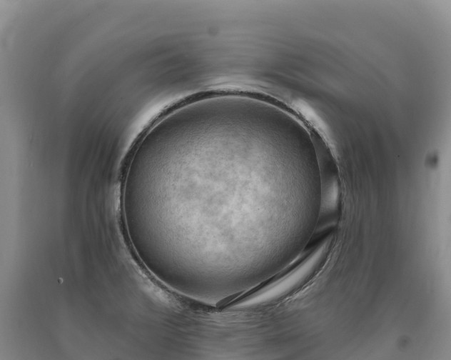 X0000090631376200707241142