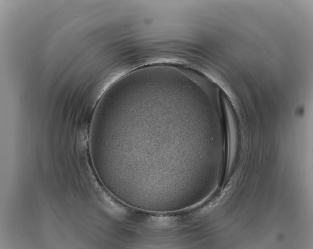 X0000090631377200707241142