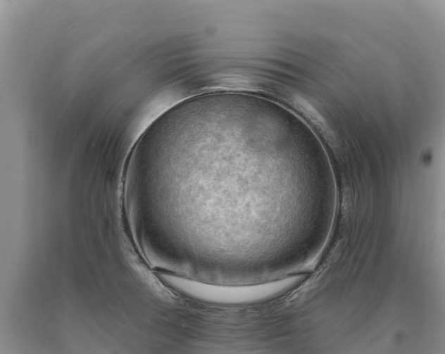 X0000090631378200707241142