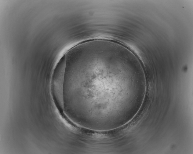 X0000090631379200707241142