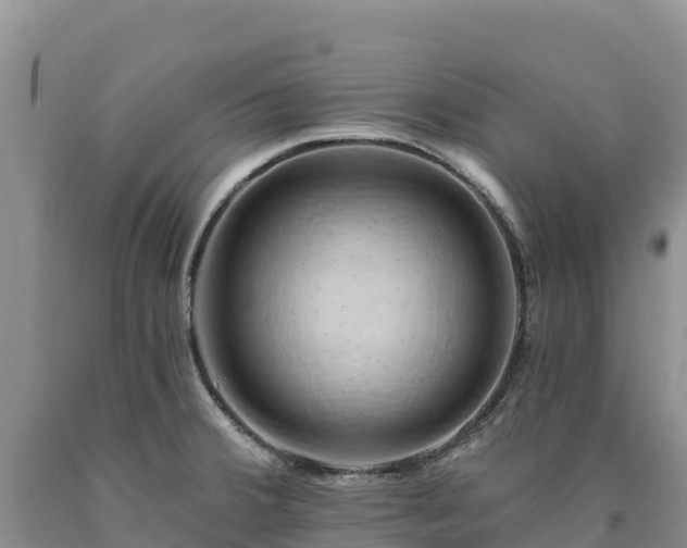 X0000090631380200707241142