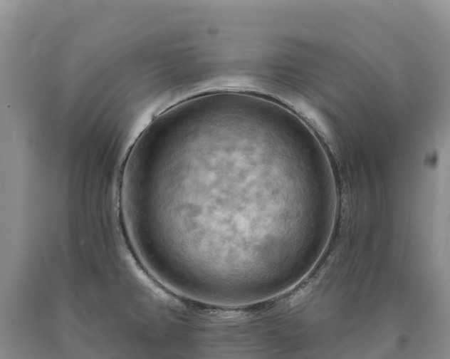 X0000090631382200707241142
