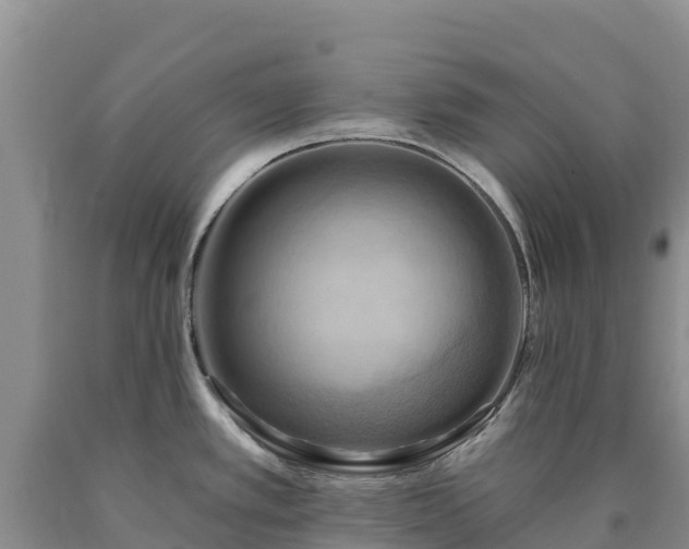 X0000090631389200707241142
