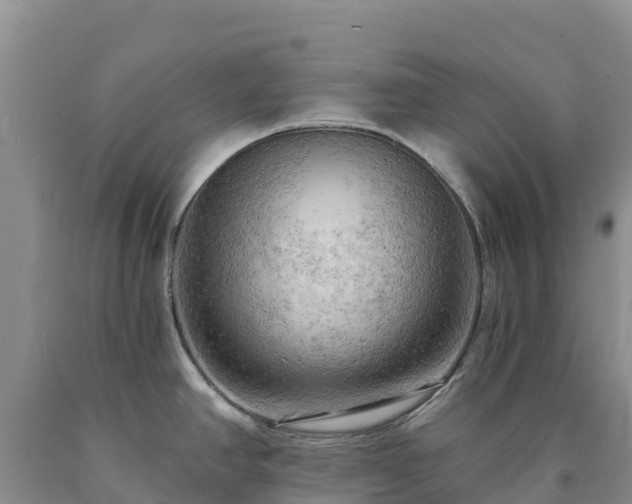 X0000090631390200707241142