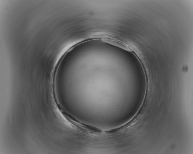 X0000090631392200707241142