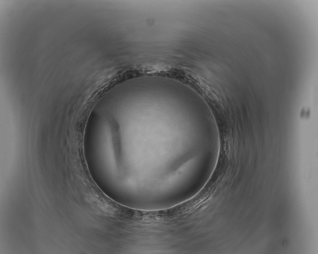 X0000090631393200707241141