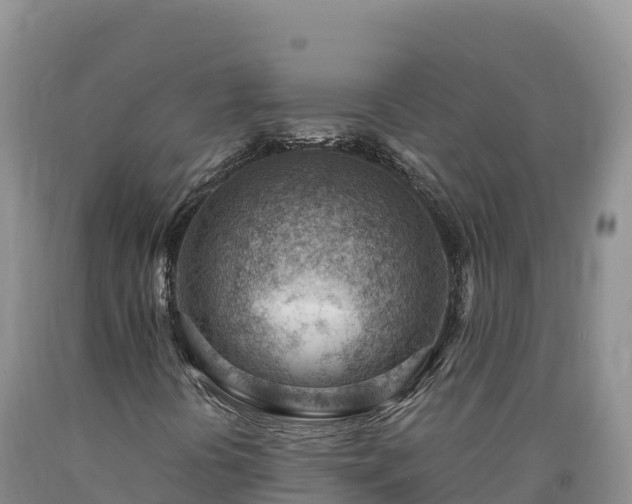 X0000090631394200707241141