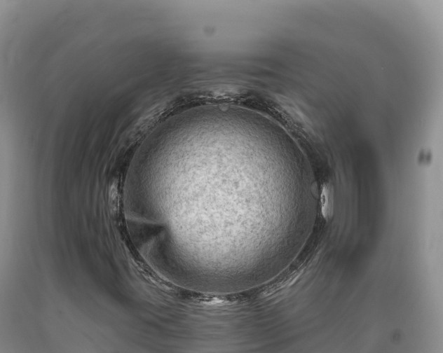 X0000090631395200707241141