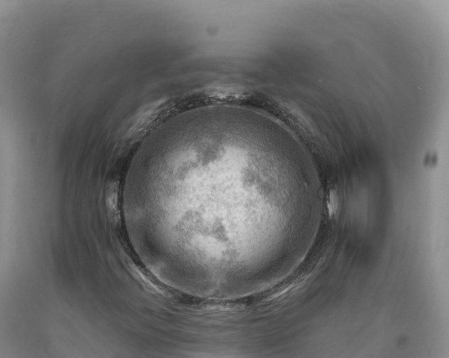 X0000090631396200707241141